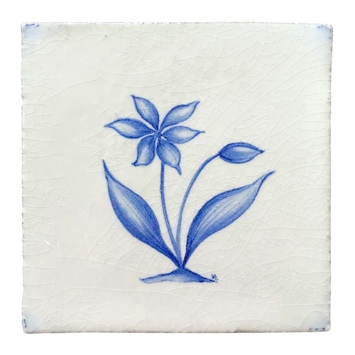 Grass Lily - 11 x 11cm Rustic, product variant image