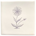 Cornflower sylvia ivory square