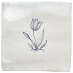 Tulip sylvia antique white square