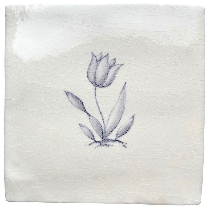 Tulip sylvia antique white square