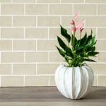 pale green brick shaped Contemporary Classics Portland Stone Green wall tiles with a houseplant in a white pot in front of the wall